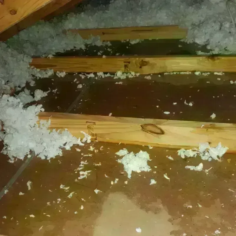 Attic Water Damage in Willamina, OR